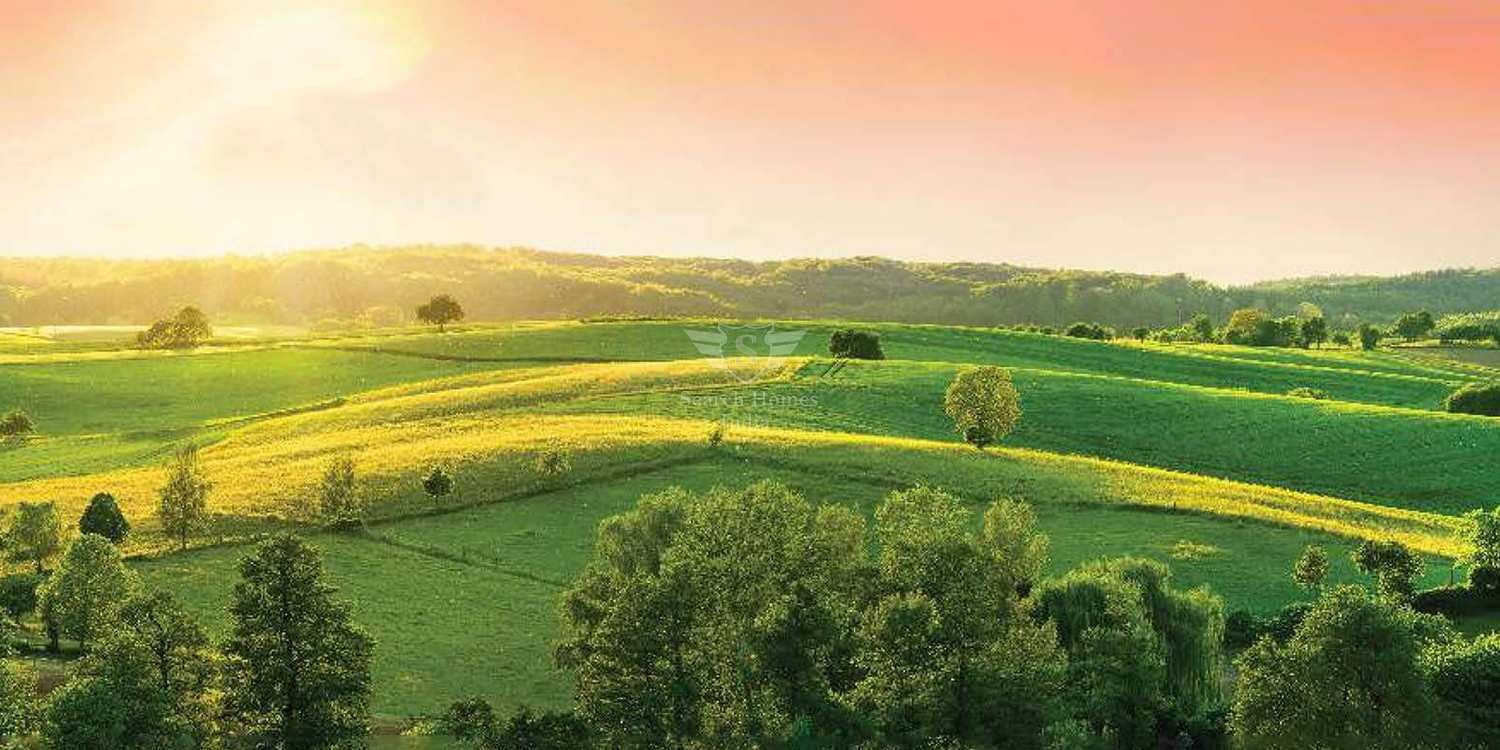 Century Seasons – property image
