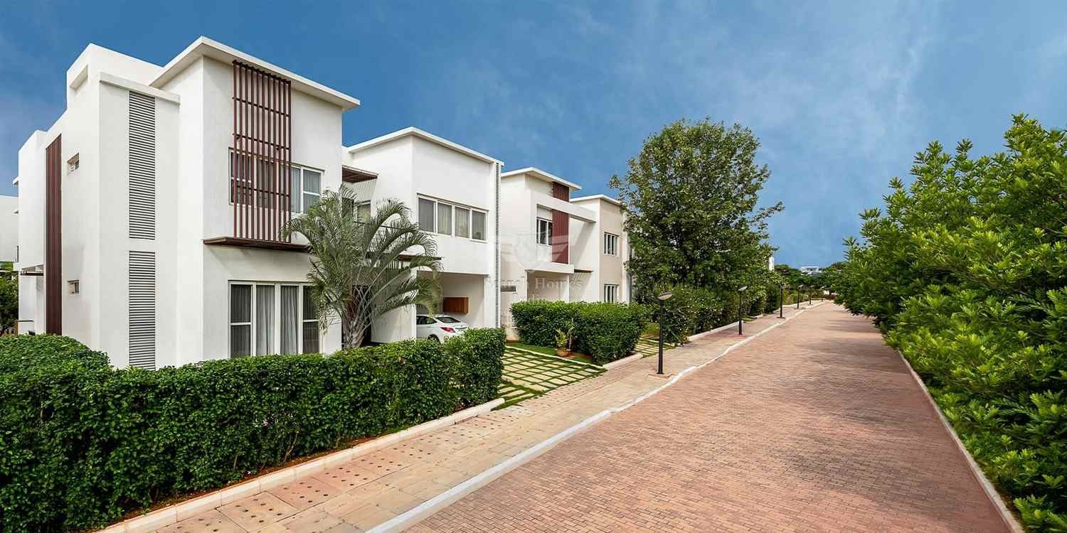 Century Wintersun – property image
