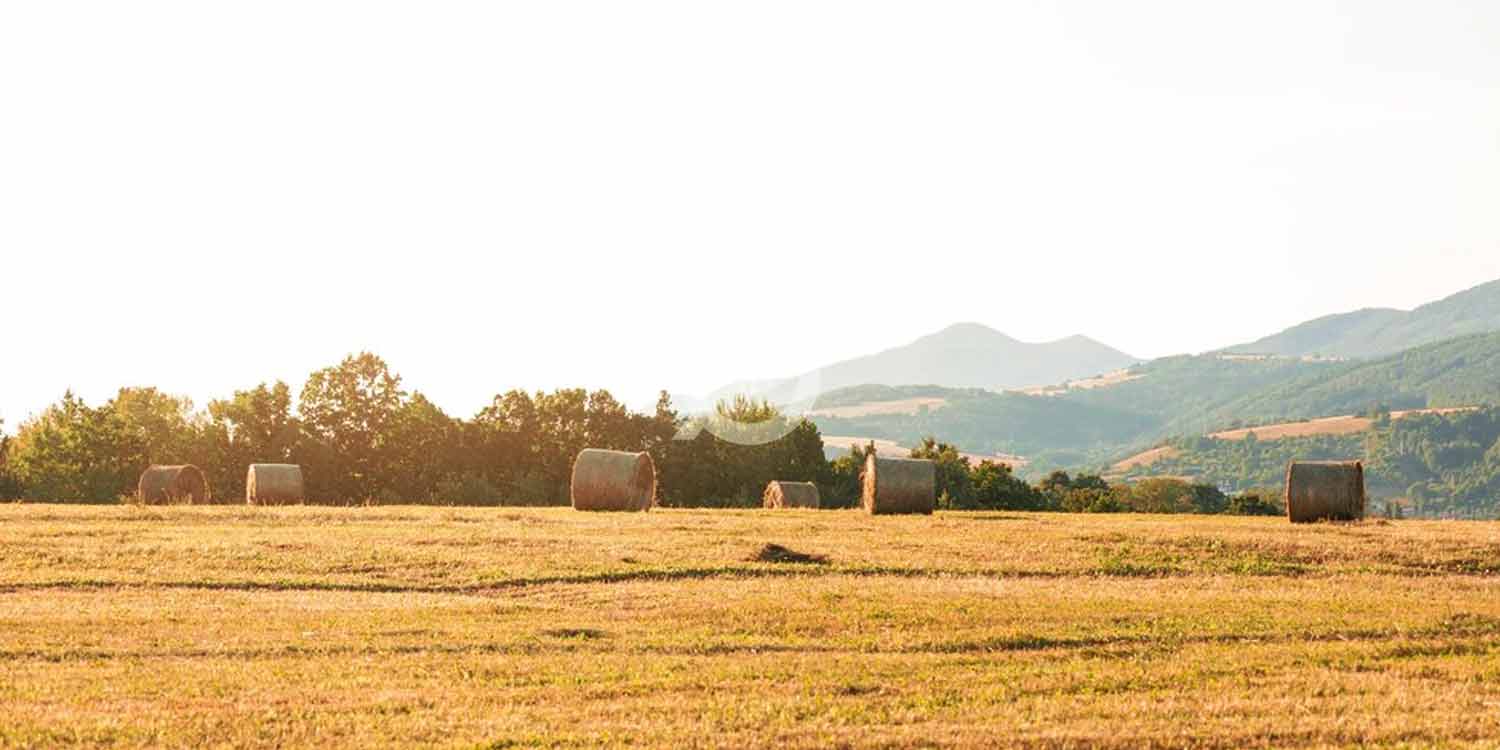 Hill Side Farm – property image