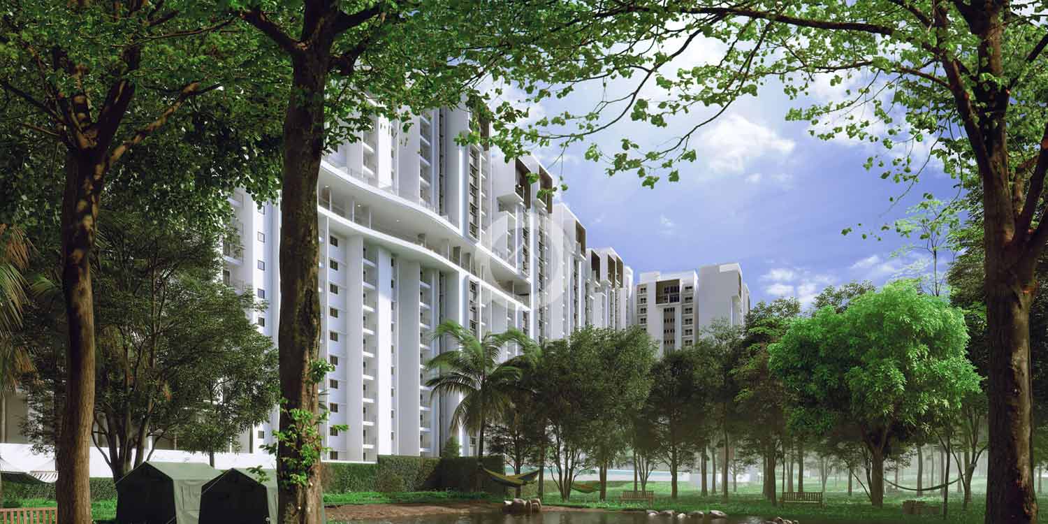 Rohan Upavan - Bangalore