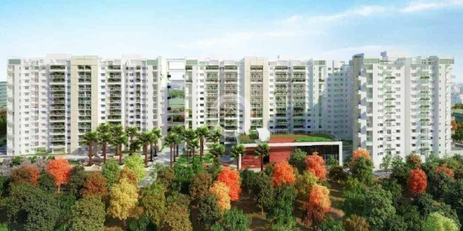 Vaswani Menlo Park - Bangalore