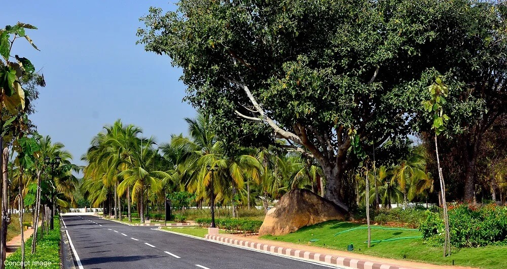 Chartered Woodpecker - Bangalore