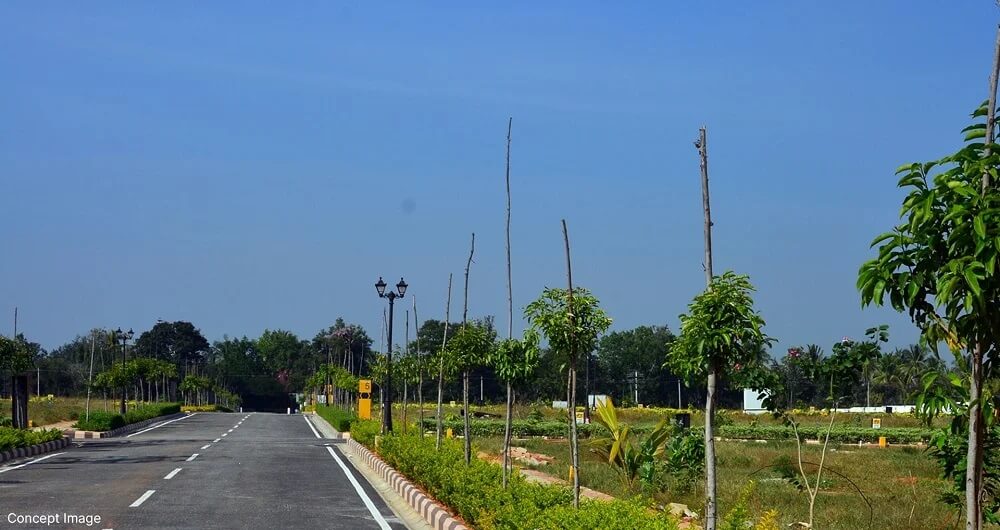 Chartered Woodpecker - Bangalore