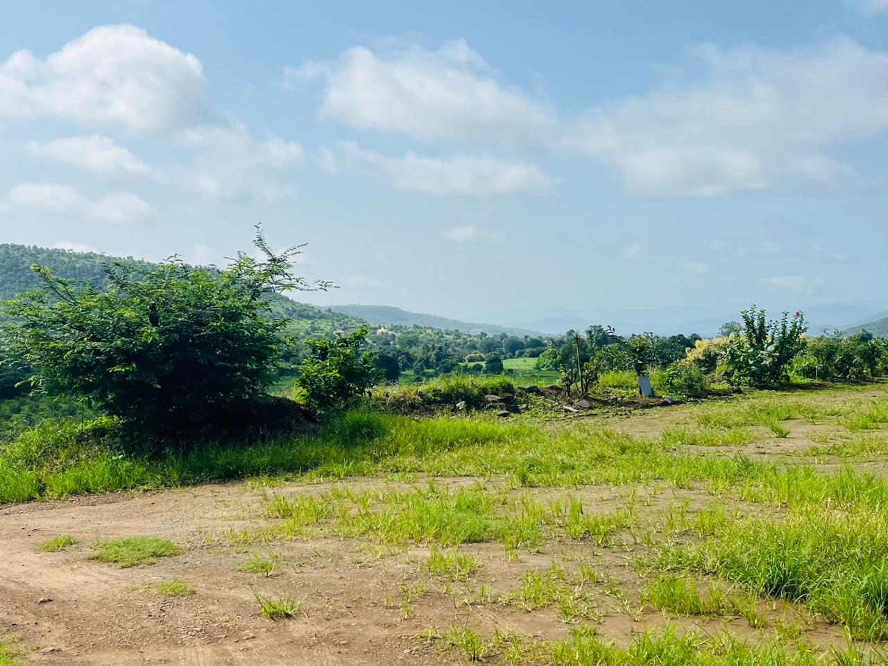 R-Zone plot – property image