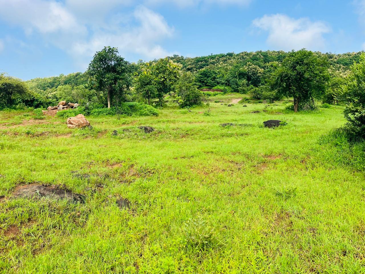 R-Zone plot – property image