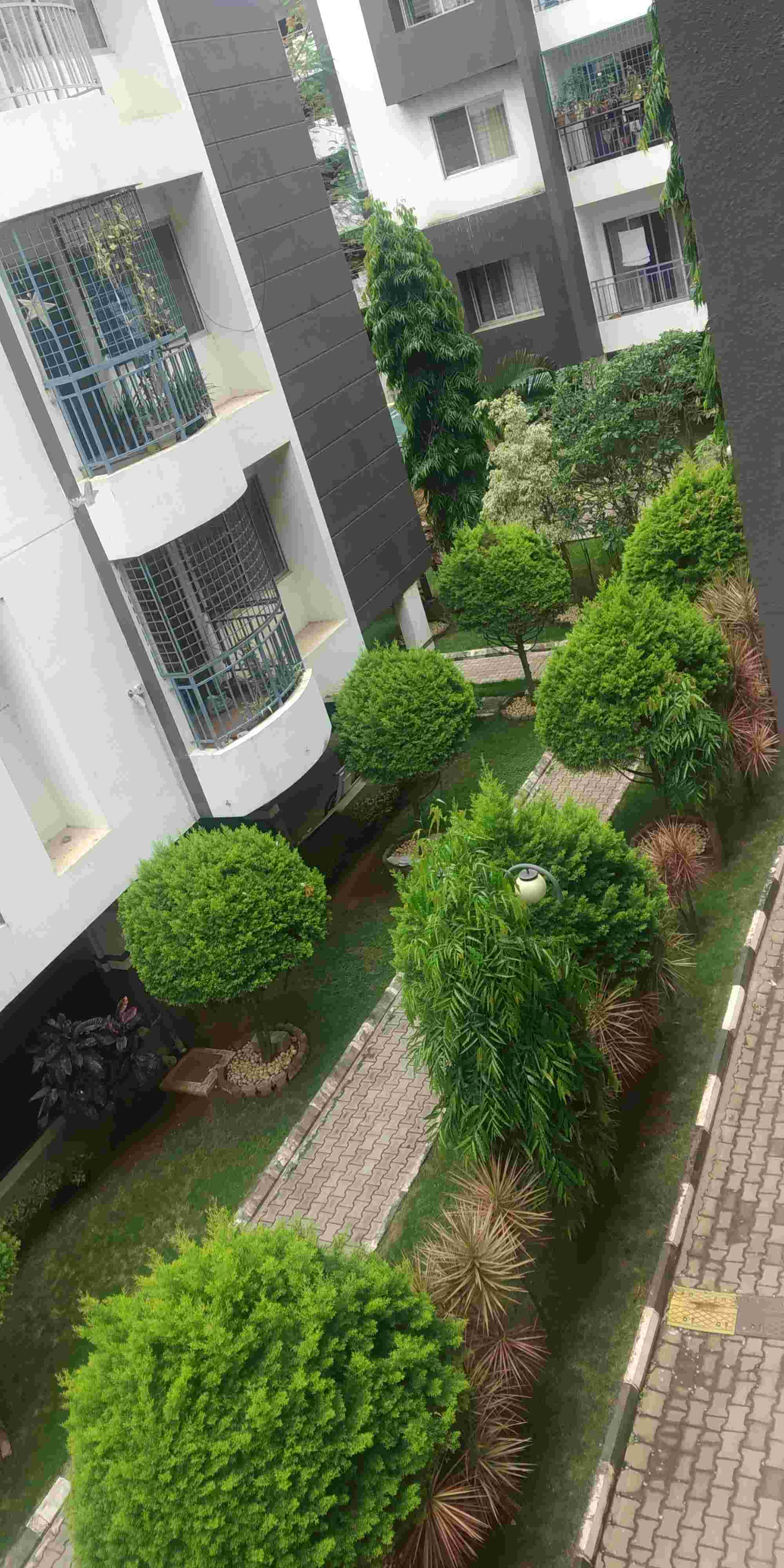 Infrany Petals Daddy's Garden Electronic – property image